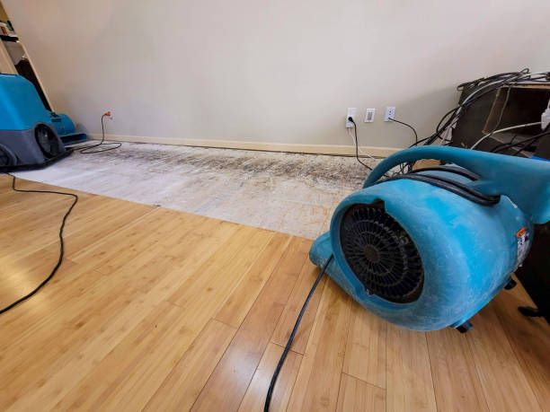 Professional Basement Flood Cleanup technician working in West Springfield, VA